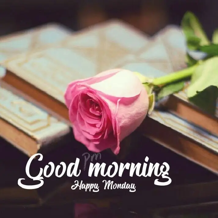 good morning images